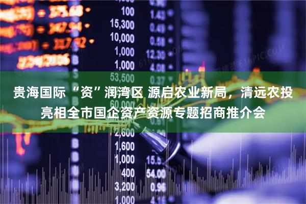 贵海国际 “资”润湾区 源启农业新局,清远农投亮相全市国企资产资源专题招商推介会